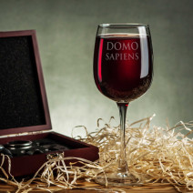 Бокал для вина "Domosapiens"